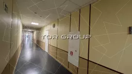 Московский 79А-7. Коридоры