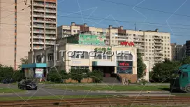 Бухарестская 142-1. Фасад фронтальная