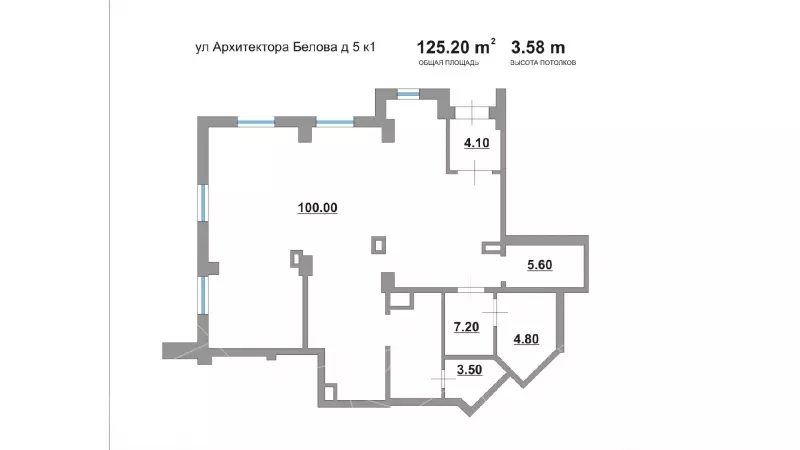 Торговое 125,2 метра-99. План объекта