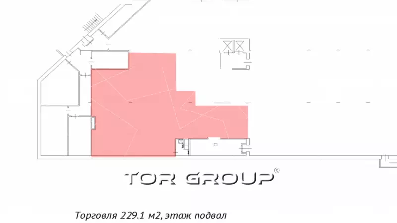 Аренда 229 м2 на цокольном этаже ТЦ-99. План объекта