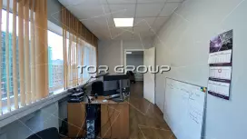 Офис 51,5 м2, 2 каб с ремонтом-98. Фото объекта