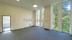 Офис 350 м2 много окон с видом на сад-98. Фото объекта