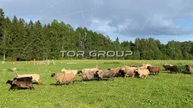 Фермерское хозяйство у озера, 40 га, агротуризм-98. Фото объекта